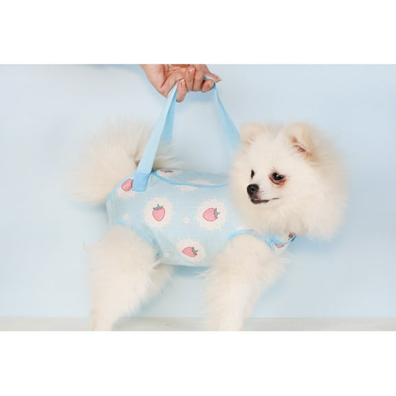 Janrevotw Pet Outdoor Portable Bag Dog Cat Tote Slanting Bag Four Legs Bag Shoulder Dewlap Small Dog Bag