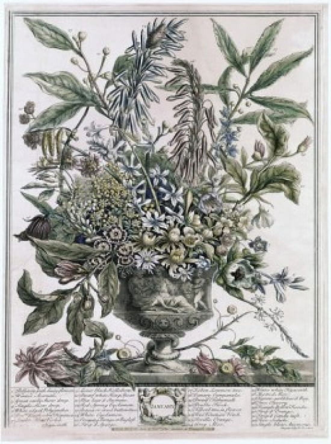 January 1730 H Fletcher (ca18thC British) Lithograph Canvas Art - H Fletcher (18 x 24)
