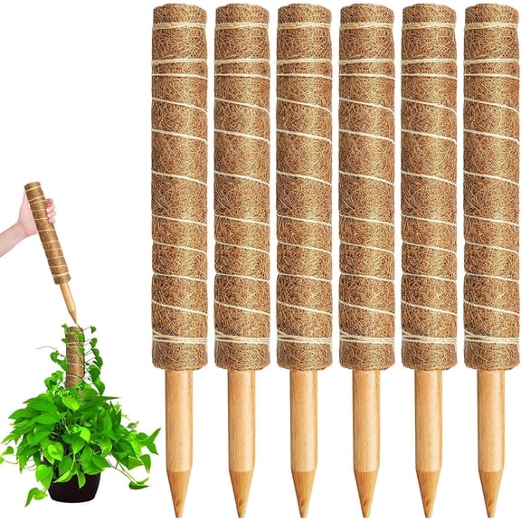 Januofit 6 Pack Moss Pole - 40cm Monstera Stakes with Coco Coir, 12 Pcs Labels & 100 Pcs Ties