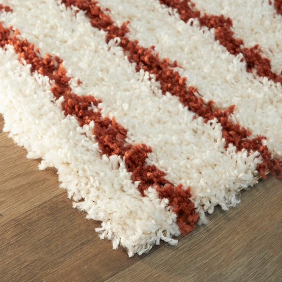 Janus Contemporary Area Rug