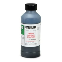 Toluidine Blue O, 1% Aqueous Solution - Laboratory Grade, 100 ML Bottle