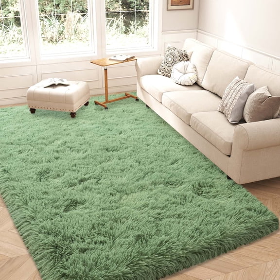Janvonne Area Rugs for Living Room,5x7ft Soft Non Skid Easy-care Shaggy Carpets for Bedroom, Dorms,Children's Room,Home Decor Aesthetics,Mint Green