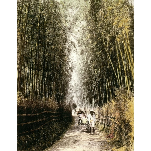 Japan Bamboo Forest. Na Young Girl In A Rickshaw Travelling Through A Bamboo Forest At Kyoto Japan. Hand-Colored
