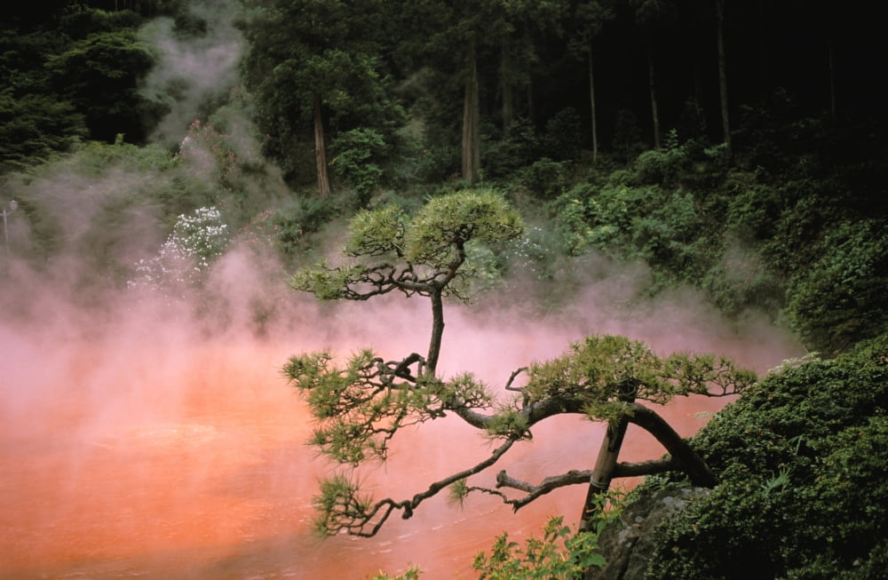 Japan Beppu Kyushu Mist From Chinoike Jigoku (Blood Pond Hell) Red Volcanic Pool Canvas Art - Rita Ariyoshi Design Pics (17 x 11)
