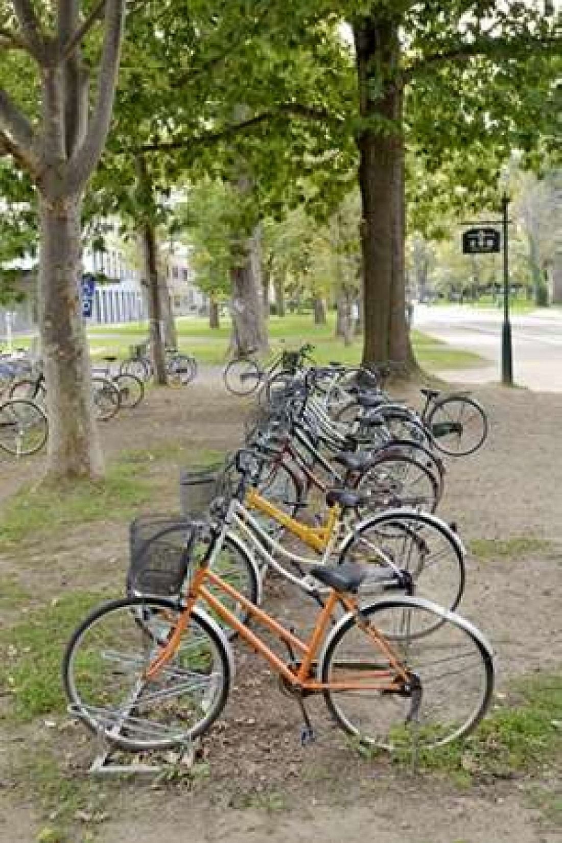 Japan Bicycle - 12 Canvas Art - Alan Blaustein (12 x 18)