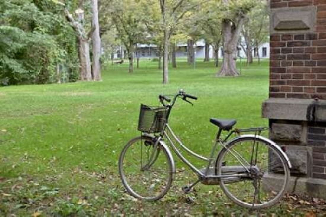 Japan Bicycle - 14 Canvas Art - Alan Blaustein (24 x 36)