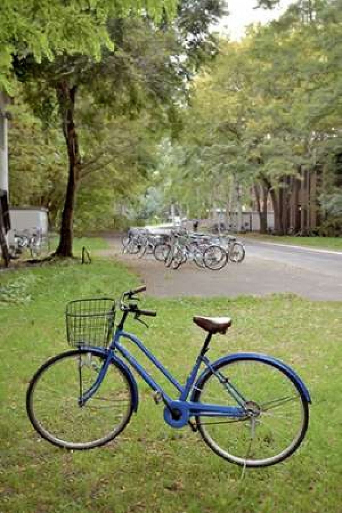 Japan Bicycle - 8 Canvas Art - Alan Blaustein (12 x 18)