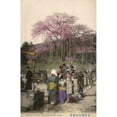thumbnail image 1 of Japan - Cherry Blossoms In Maruyama Park, Kyoto Print By Mary Evans Grenville Collins Postcard Collection, 1 of 3