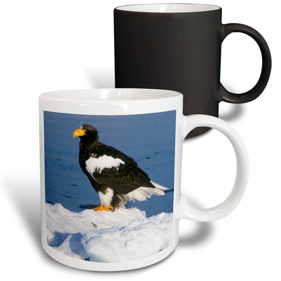 3drose, Japan, Hokkaido, Raus, Stellers Sea Eagle-as15 Rti0438 - Rob Tilley, 11oz Magic Transforming Mug