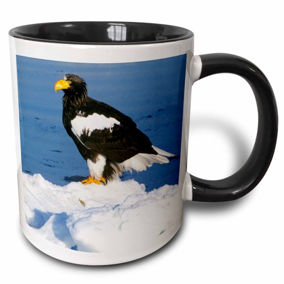 3drose, Japan, Hokkaido, Raus, Stellers Sea Eagle-as15 Rti0438 - Rob Tilley, 11oz Two-tone Black Mug