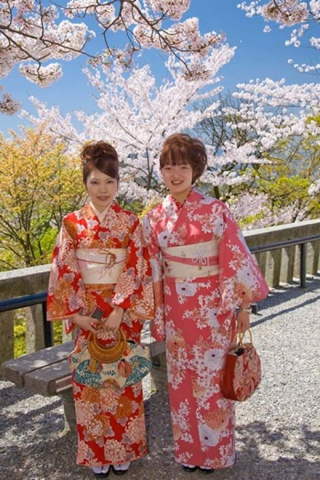 Japan Honshu island Kyoto Kiyomizudera Temple Canvas Art - John & Lisa Merrill DanitaDelimont (18 x 26)