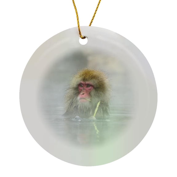 3drose, Japan, Jigokudani Park, Snow Monkey, Hot Spring-as15 Bja0046 - Janyes Gallery, Circle Porcelain Ornament