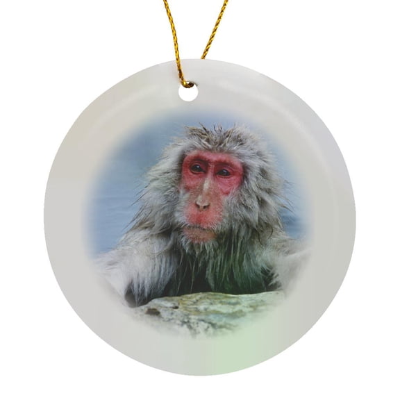 Japan, Nagano, Jigokudani, Snow Monkey In Hot Spring-As15 Rti0451 - Rob Tilley, Circle Porcelain Ornament