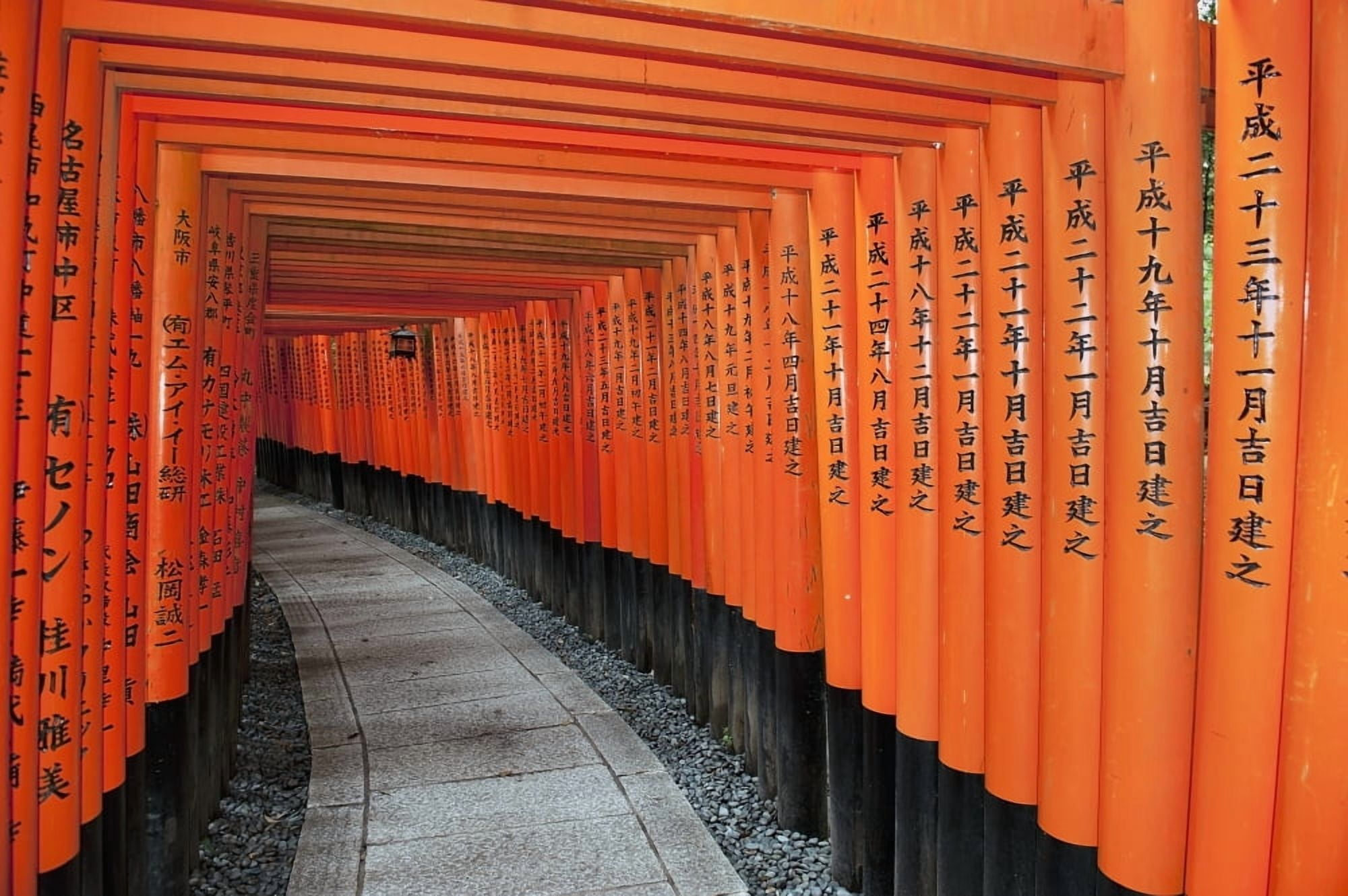 Japan Red Columns Along Pathway Kyoto Canvas Art - Jim Julien Design Pics (19 x 12)