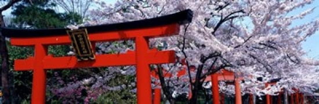 Japan Takenaka Inari Shrine Canvas Art - Panoramic Images (37 x 12)