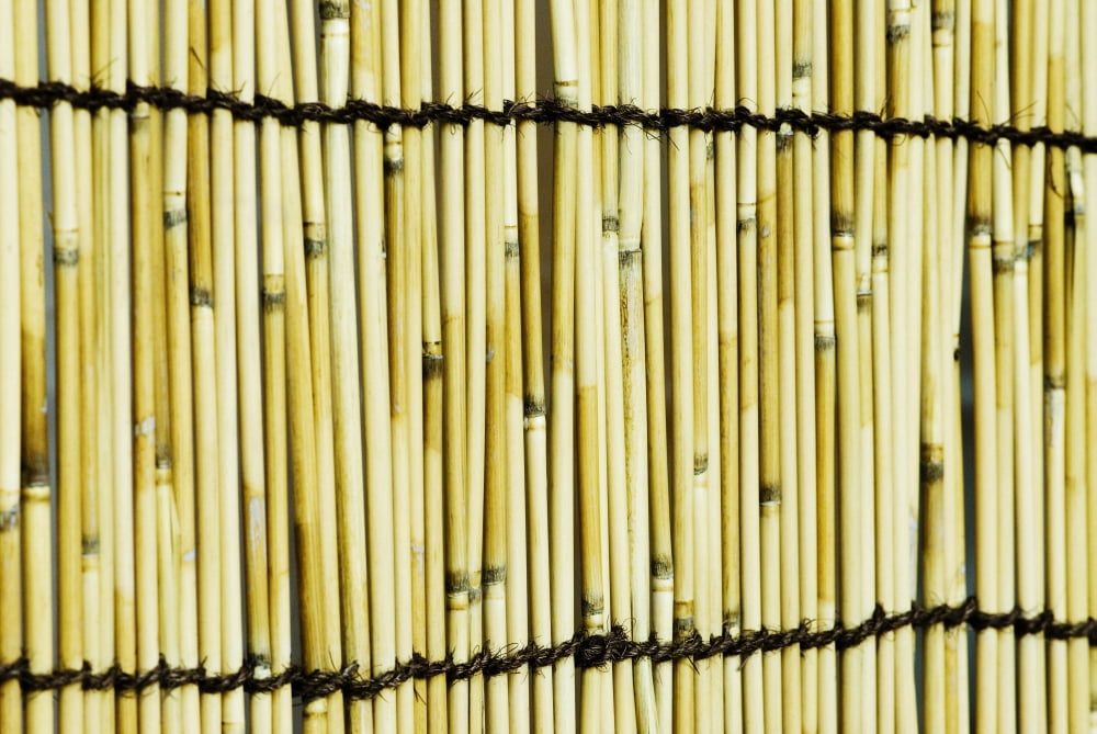 Japan Tokyo Meiji Jingu Shrine Texture Of Bamboo Canvas Art - Bill Brennan Design Pics (17 x 11)