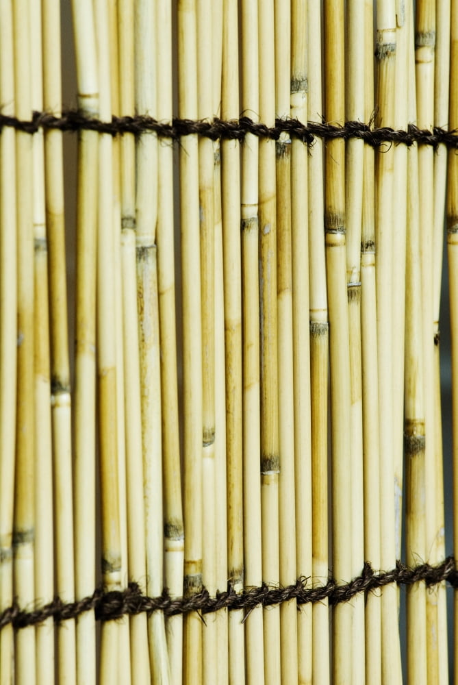 Japan Tokyo Meiji Jingu Shrine Texture Of Bamboo Canvas Art - Bill Brennan Design Pics (22 x 34)
