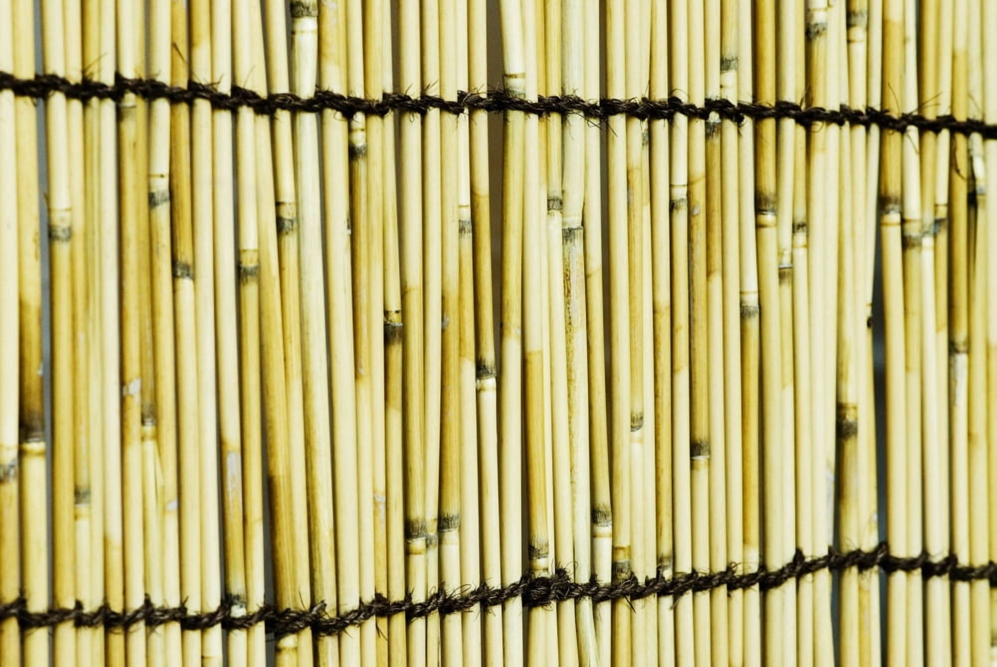 Japan Tokyo Meiji Jingu Shrine Texture Of Bamboo Canvas Art - Bill Brennan Design Pics (34 x 22)