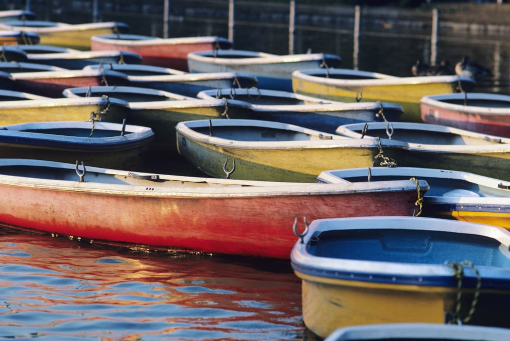 Japan Tokyo Ueno Park Colorful Row Boats Tied Together On Lake Canvas Art - Joe Carini Design Pics (17 x 11)