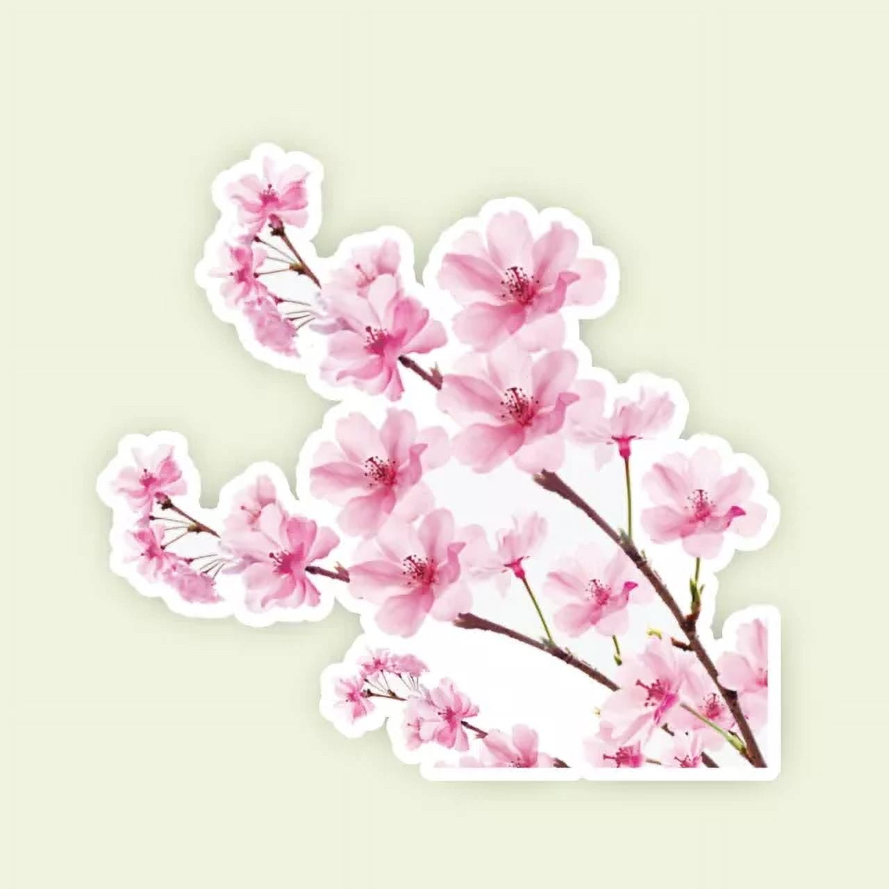 Japan Travel The World Cherry Blossoms Flowers Sticker Laptop Bumper ...