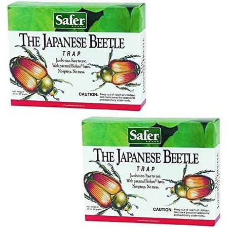 Japanese Beetle Trap