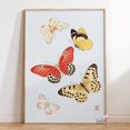 thumbnail image 1 of Japanese Butterfly Insect Wall Decor, 1 of 4