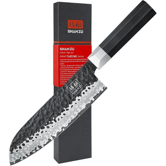 Japanese Chef Knife 7 Inch, High Carbon Steel 10Cr15Mov Professional Kitchen Knife, Meat Cutting Santoku Knife, Sharp Cooking Knife with G10 Handle Dishwasher Safe, Gifts for Women & Men