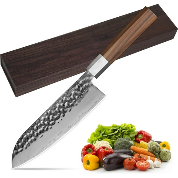 Japanese Chef Knife - 8 Inch Professional Chef's Knife Ultra Sharp Kitchen Knife Japanese 9-Layers VG-10 Clad, Chef Knife for Meat Vegetable Fruit Meat & Sushi Knife - with Sheath & Case