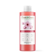 Japanese Cherry Blossom Fragrance Oil 4 fl. oz. Scented Oil for DIY Soap Making, Candles, Bath Bombs, Body Butters. Used in Aromatherapy Diffusers, Burners and Warmers. Add to Lotions and Creams.