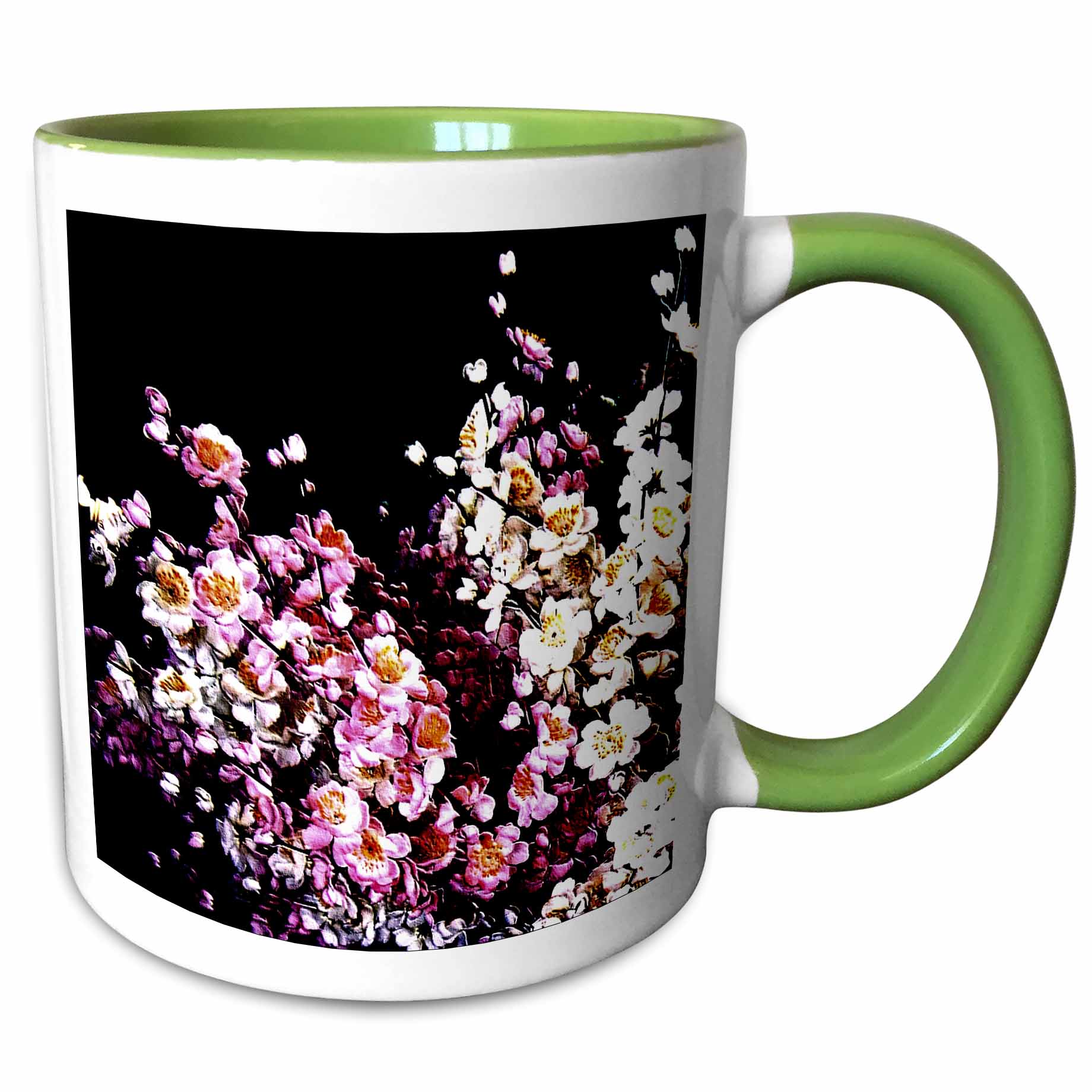 Japanese Cherry Blossom flowers pink and white floral branches on