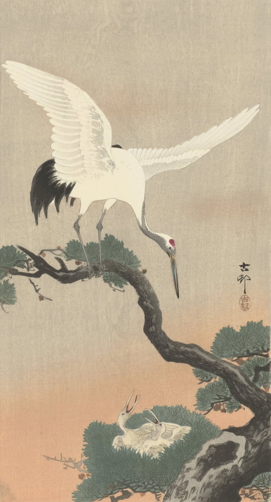 Japanese Crane On Pine Branch Canvas Art - (18 x 24)