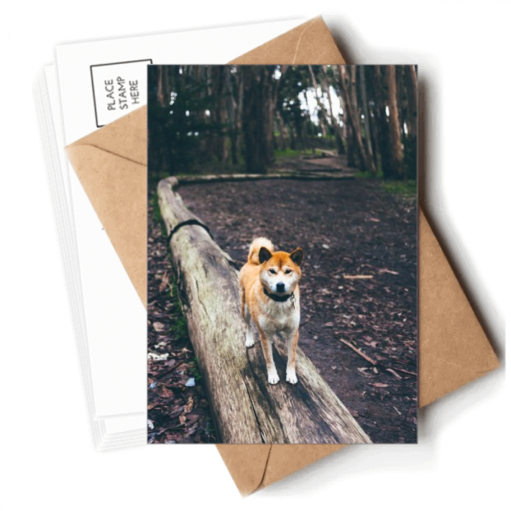 Japanese Dog Pet Animal Picture Postcards Envelopes Blank Note Cards Mailing