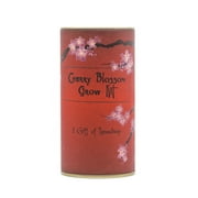 Japanese Flowering Cherry Blossom | Tree Seed Grow Kit | The Jonsteen Company