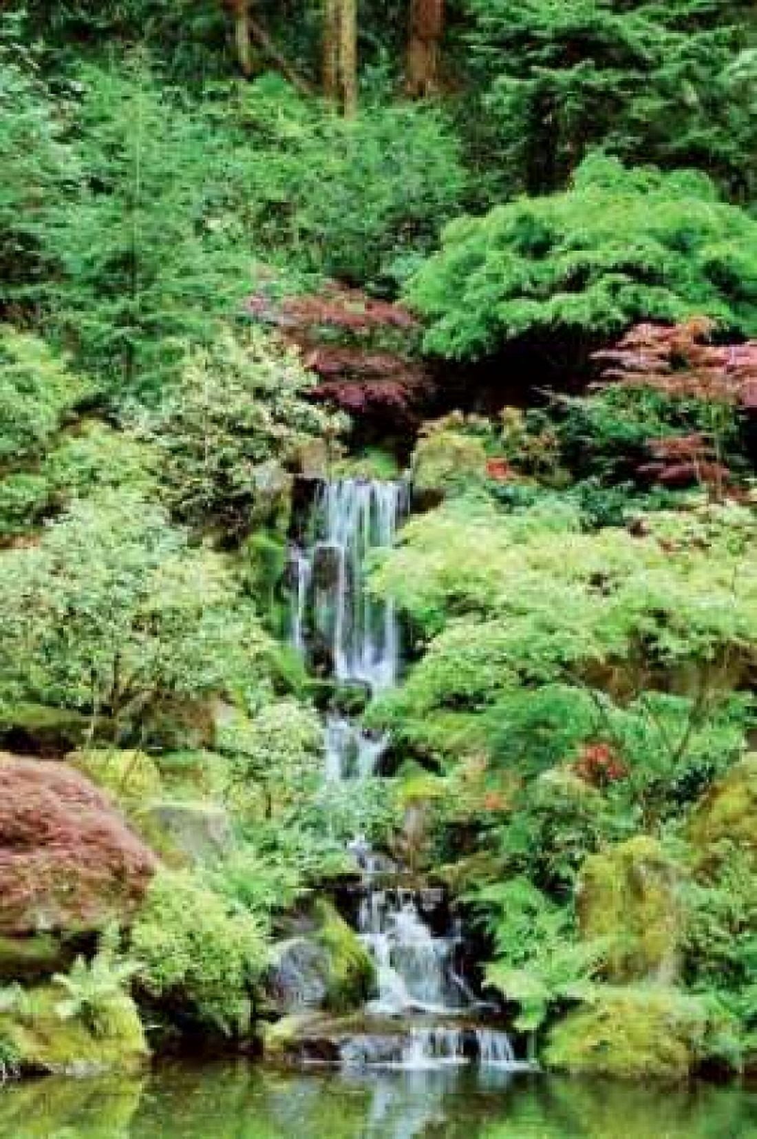 Japanese Garden Canvas Art - Erin Berzel (12 x 18)