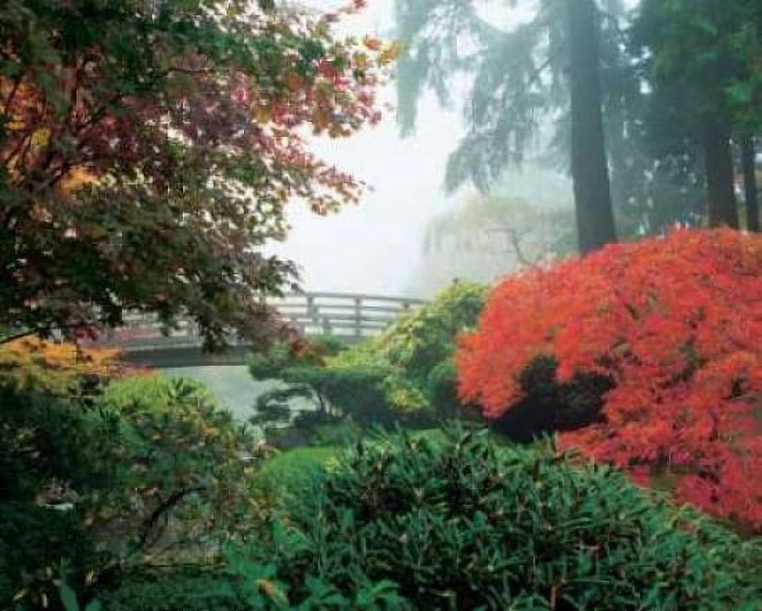 Japanese Garden II Canvas Art - Maureen Love (20 x 24)
