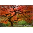 thumbnail image 1 of Japanese Garden, Portland, Oregon (9x12 Wall Art Print, Home Decor), 1 of 3