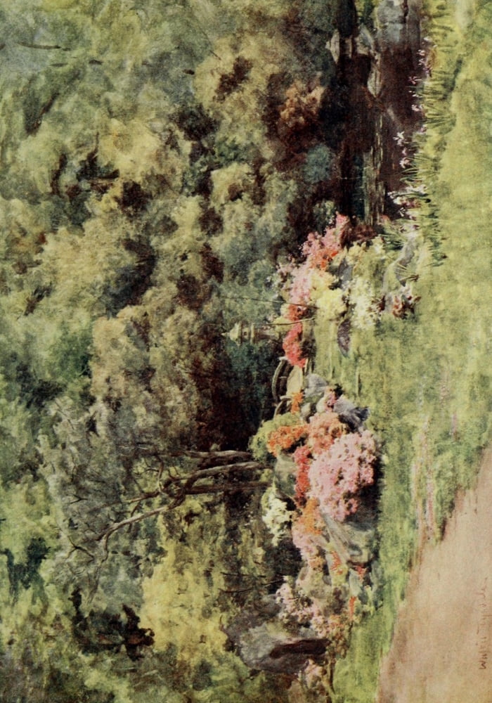 Japanese Gardens 1912 Canvas Art - Walter Tyndale (24 x 36)