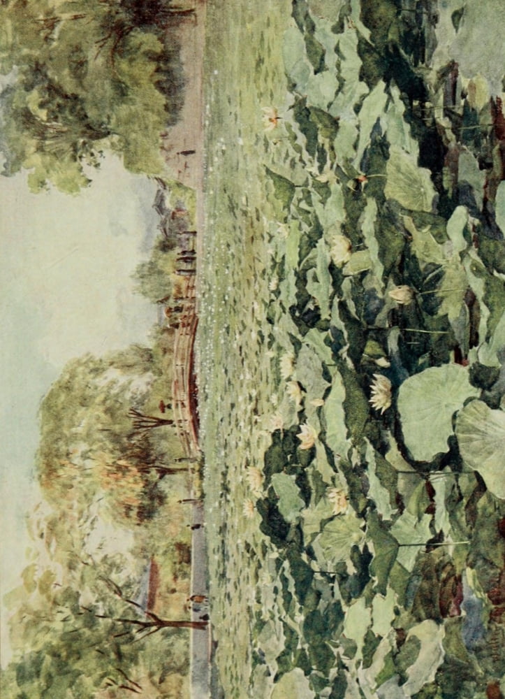 Japanese Gardens 1912 Canvas Art - Walter Tyndale (24 x 36)