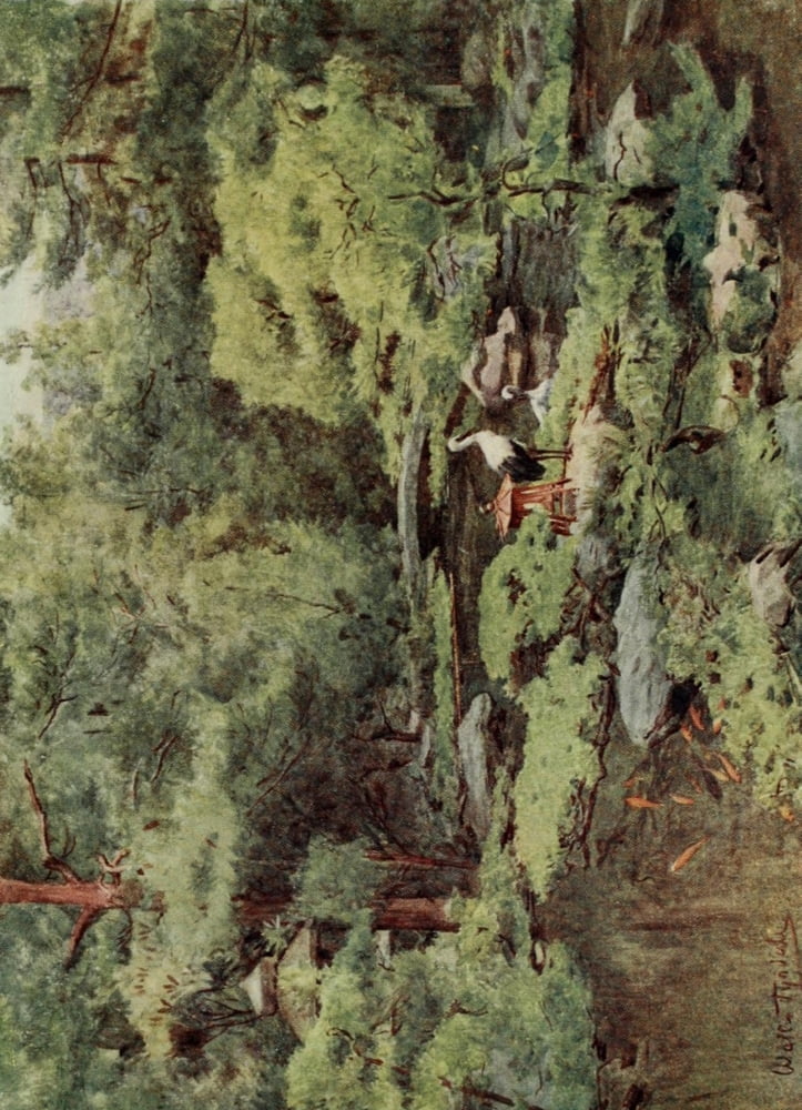 Japanese Gardens 1912 Canvas Art - Walter Tyndale (24 x 36)