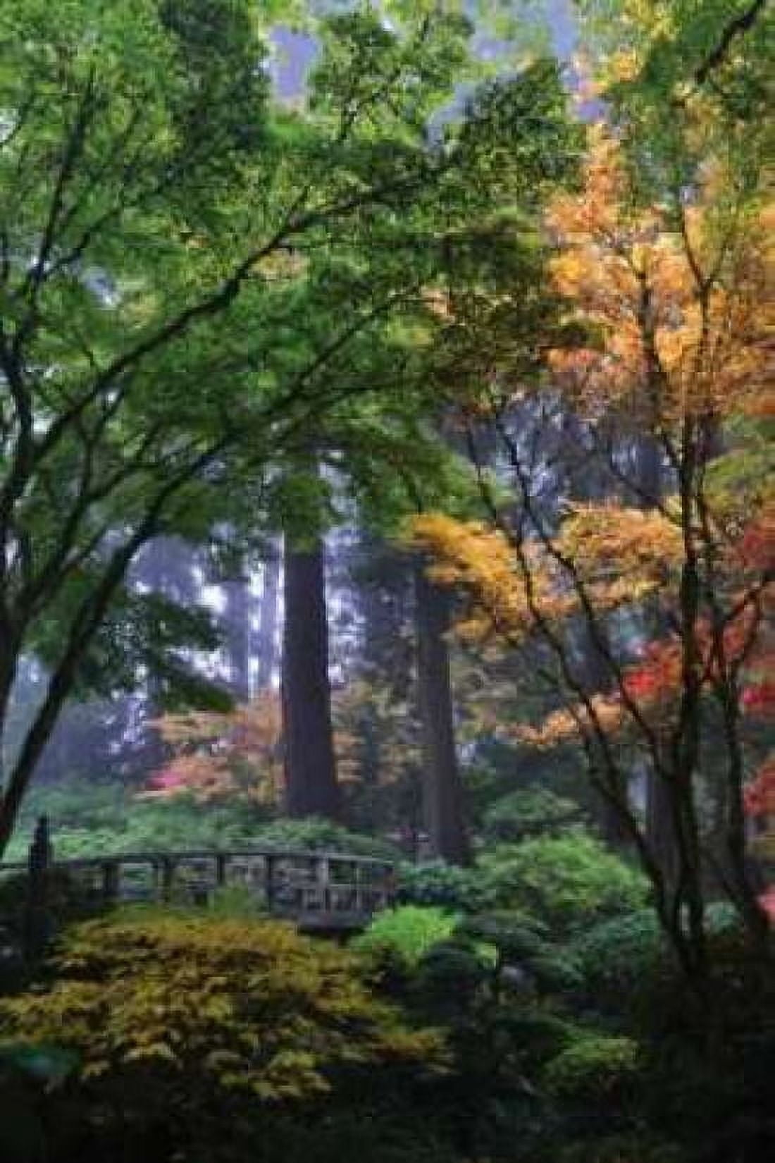 Japanese Gardens III Canvas Art - Brian Moore (12 x 18)