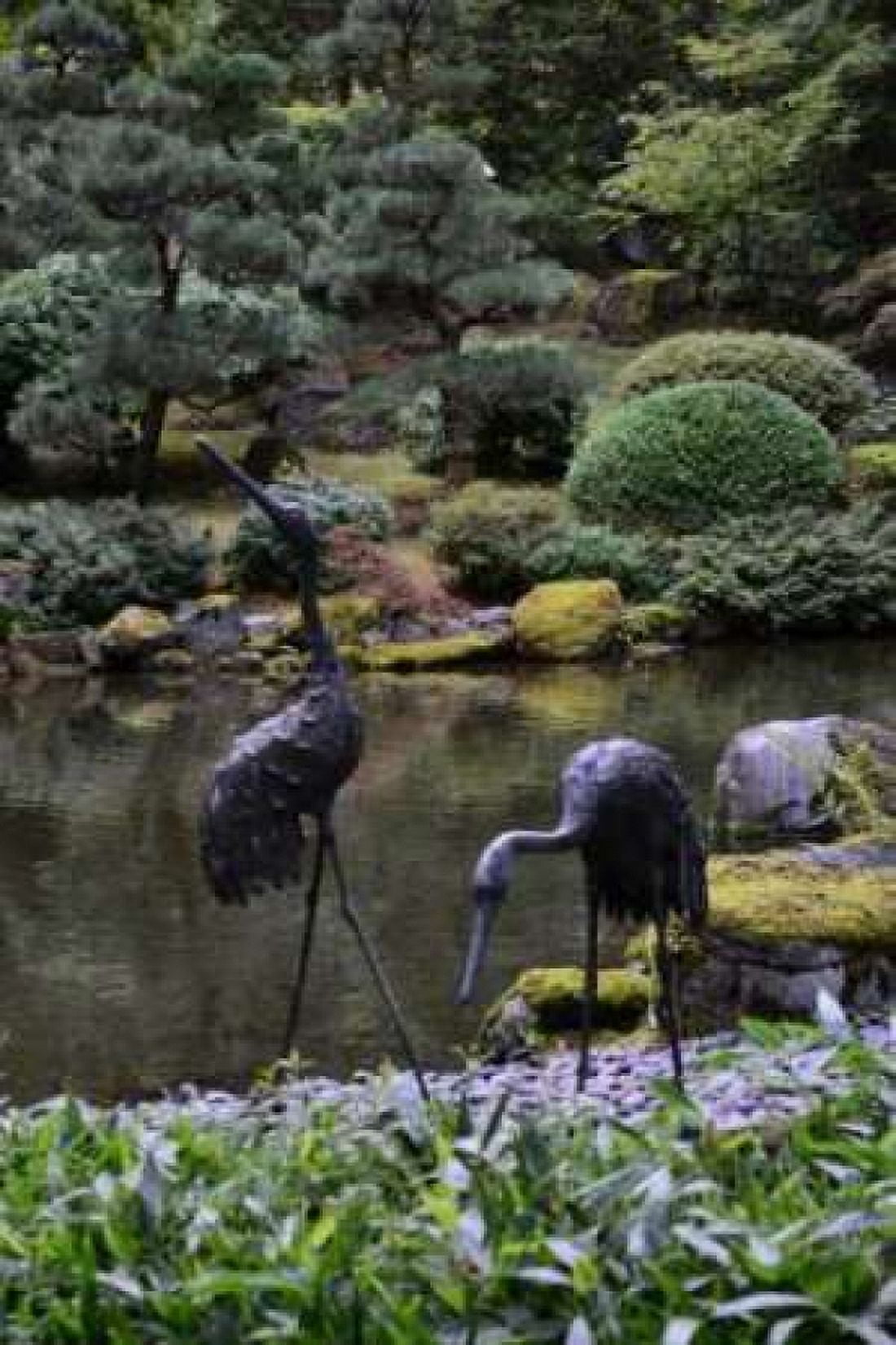 Japanese Gardens V Canvas Art - Brian Moore (12 x 18)