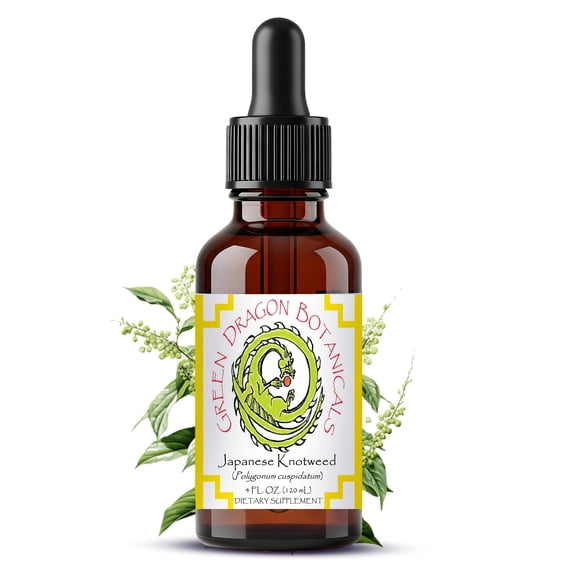 Japanese Knotweed Liquid Extract Tincture Polygonum cuspidatum Root Herbal Drops 1:5 Buhner Protocol Herb Wellness Support* 4 Fl Oz (120 mL)