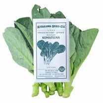Japanese Komatsuna Mustard Seeds - 3 g Packet ~800 Seeds - Asian Vegetable, Herb & Microgreens Seeds - Heirloom Gardening Seeds