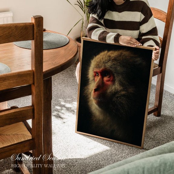 Japanese Macaque Portrait Dark Snow Monkey Bold Animal Decor