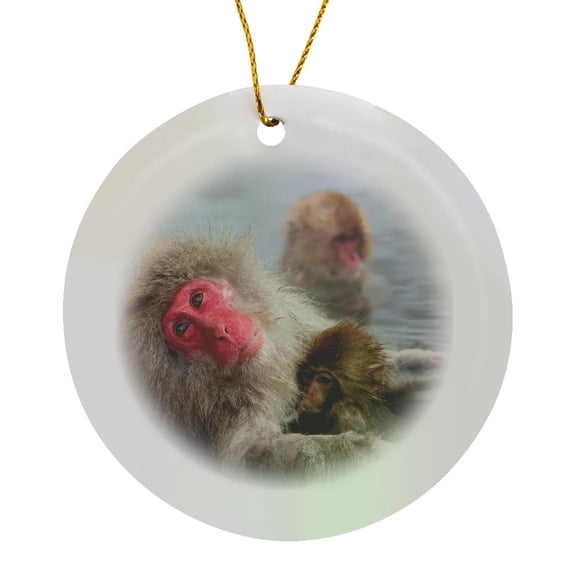 3drose, Japanese Macaque, Snow Monkey, Joshin-etsu Np, Honshu, Circle Porcelain Ornament