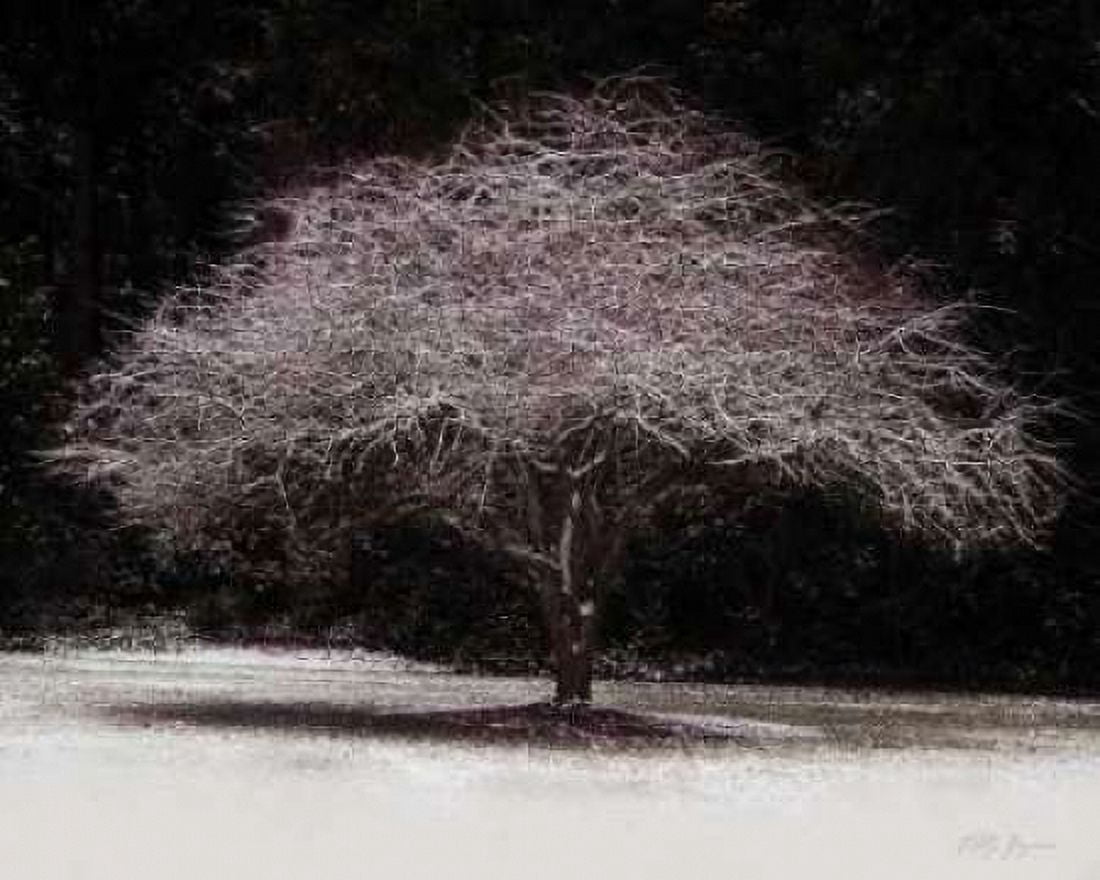 Japanese Maple Canvas Art - Vitaly Geyman (24 x 30)