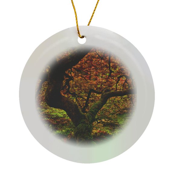 3drose, Japanese Maple, Portland Japanese Garden, Portland, Oregon, Usa, Circle Porcelain Ornament