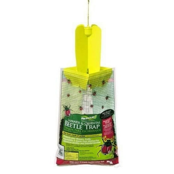 Japanese & Oriental Beetle Trap