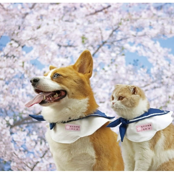 Japanese School Uniform Cat Bandana  Seifuku Sailor Style, Navy Blue Collar with Sakura Pink Tag, Adjustable Fit