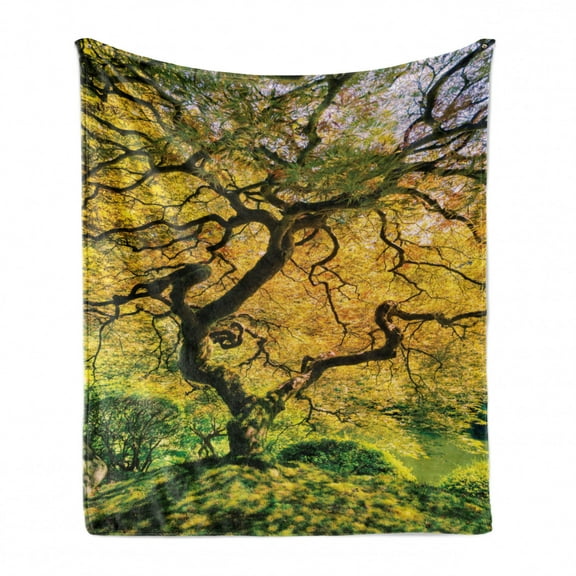 Japanese Soft Flannel Fleece Blanket, Shadows of Large Maple Along with River with Sun Rays Fall Season Nature Theme, Cozy Plush for Indoor and Outdoor Use, 50" x 60", Green Yellow, by Ambesonne